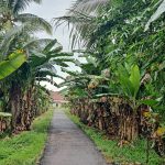 WhatsApp Image 2025-10-17 at 15.33.32_968ac4e2