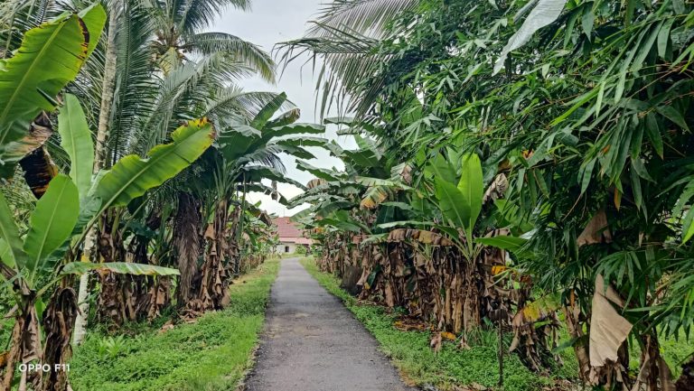 WhatsApp Image 2025-10-17 at 15.33.32_968ac4e2